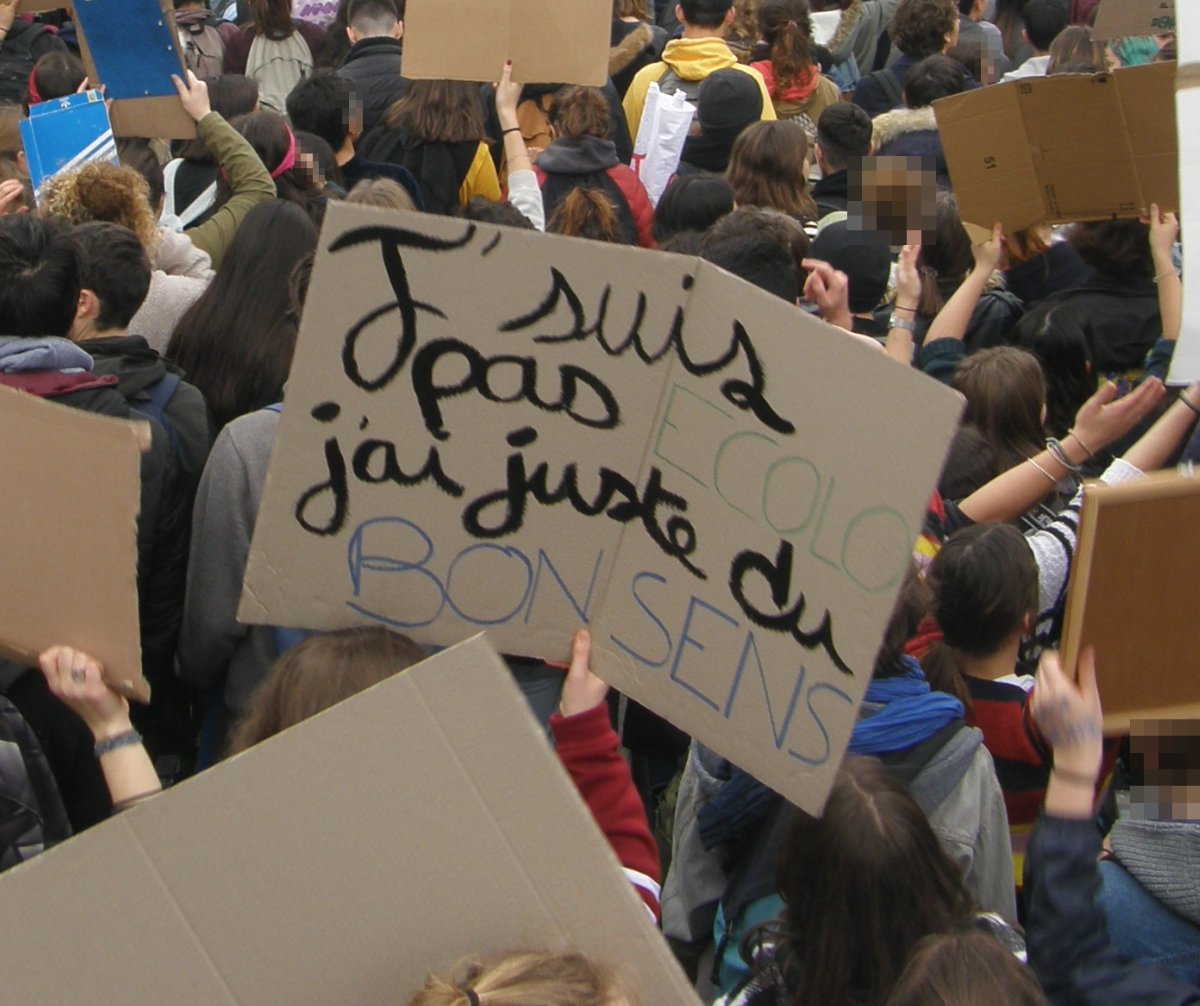 Pancarte « J'suis pas ECOLO j'ai juste du BON SENS », Toulouse (31), 15 mars 2019