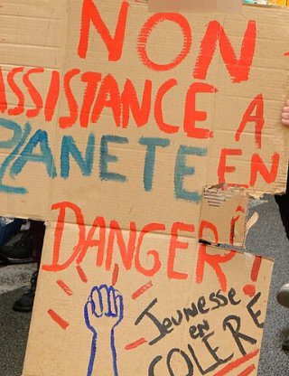 Pancarte « NON ASSISTANCE A PLANETE EN DANGER Jeunesse en COLÈRE », Belfort (90), 15 mars 2019
