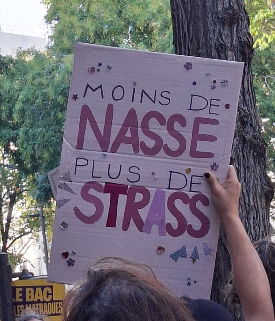 Pancarte « Moins de nasse plus de strass », Paris (75), 17 octobre 2026