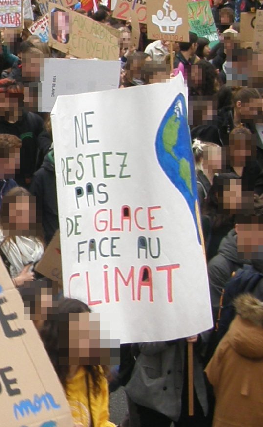 Pancarte « NE RESTEZ PAS DE GLACE FACE AU CLIMAT », Toulouse (31), 15 mars 2019