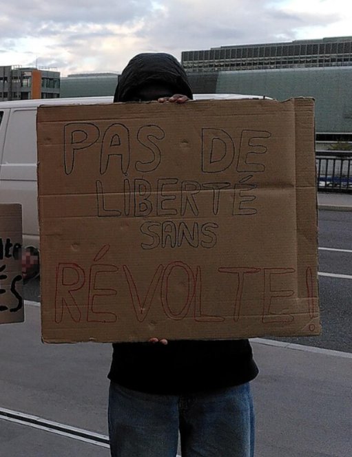 Pancarte « PAS DE LIBERTÉ SANS RÉVOLTE! », Nancy (54), 17 octobre 2026