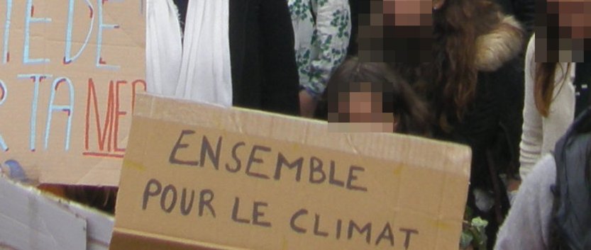 Pancarte « ENSEMBLE POUR LE CLIMAT », Toulouse (31), 15 mars 2019