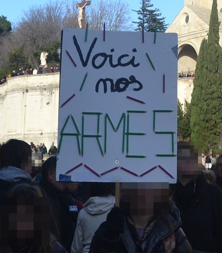 Pancarte « Voici nos ARMES », Avignon (84), 11 janvier 2015