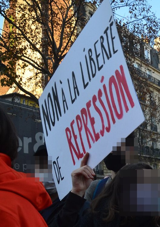 Pancarte « NON À LA LIBERTÉ DE RÉPRESSION », Paris (75), 28 novembre 2020