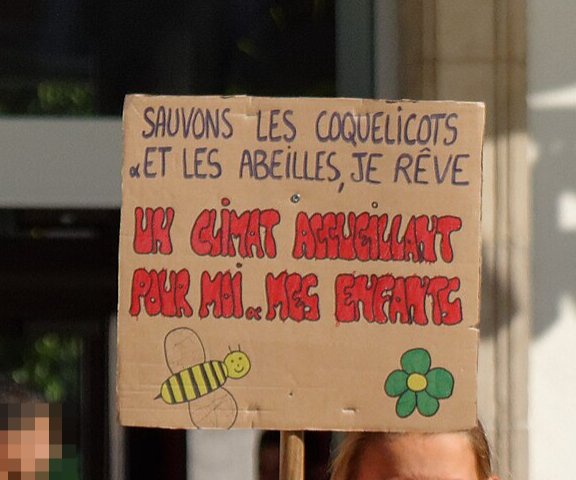Pancarte « SAUVONS LES COQUELICOTS «ET LES ABEILLES, JE RÊVE UN CLIMAT ACCUEILLANT POUR MOI « MES ENFANTS », Montbéliard (25), 13 octobre 2018