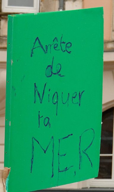Pancarte « Arrête de Niquer ta MER », Belfort (90), 15 mars 2019