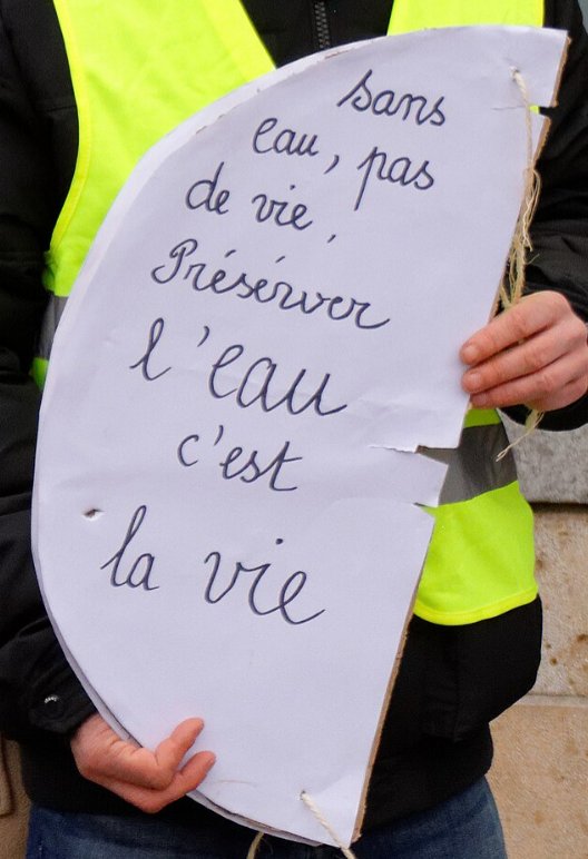Pancarte « Sans eau, pas de vie. Préserver l'eau c'est la vie », Montbéliard (25), 27 janvier 2019