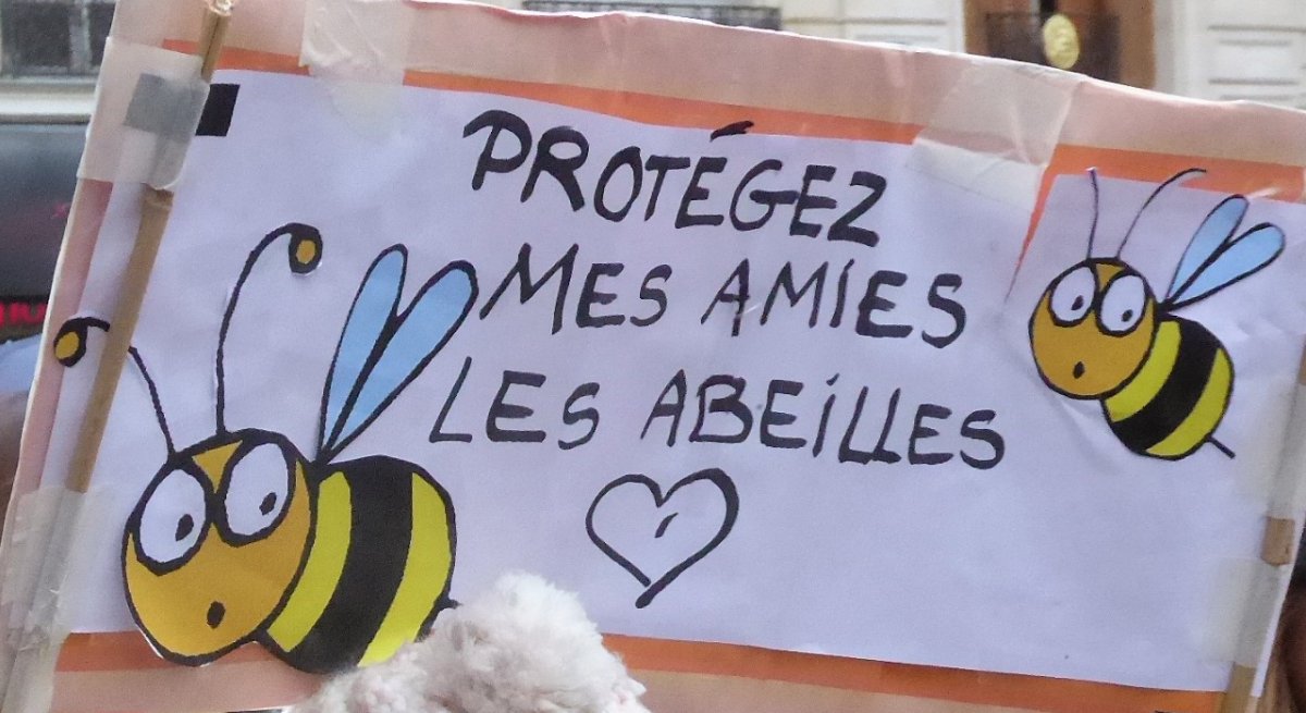 Pancarte « PROTÉGEZ MES AMIES LES ABEILLES », Paris (75), 8 décembre 2018
