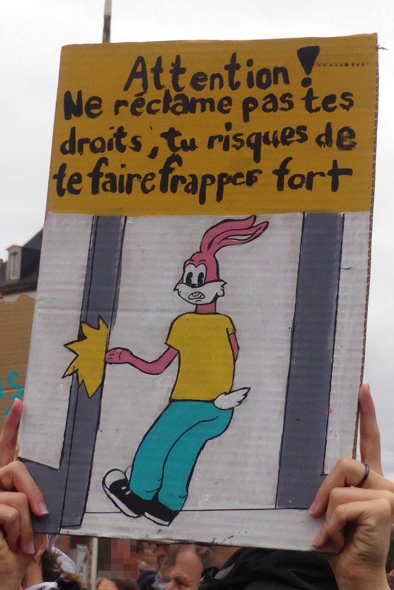 Pancarte « Attention ! Ne réclame pas tes droits, tu risques de te faire frapper fort », Belfort (90), 17 octobre 2026