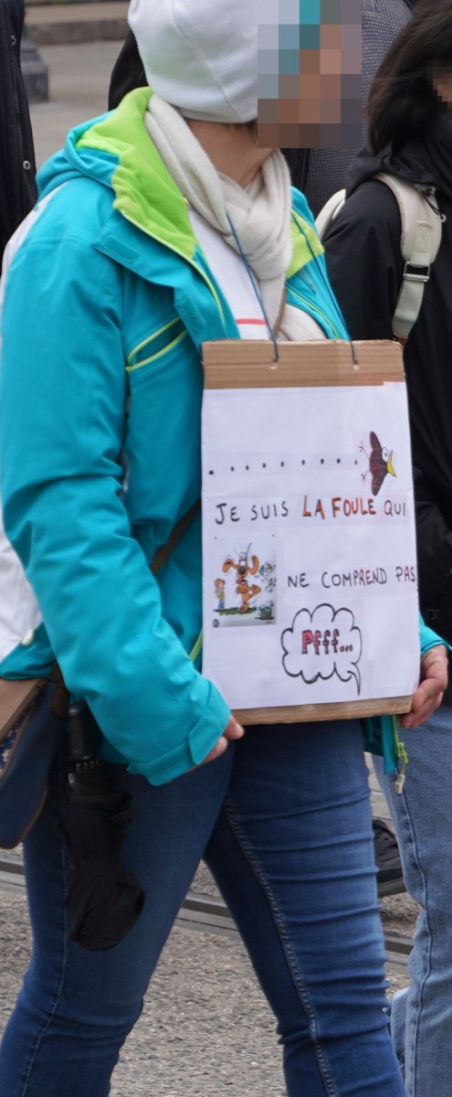 Pancarte « JE SUIS LA FOULE QUI NE COMPREND PAS. Pfff... », Reims (51), 23 mars 2023