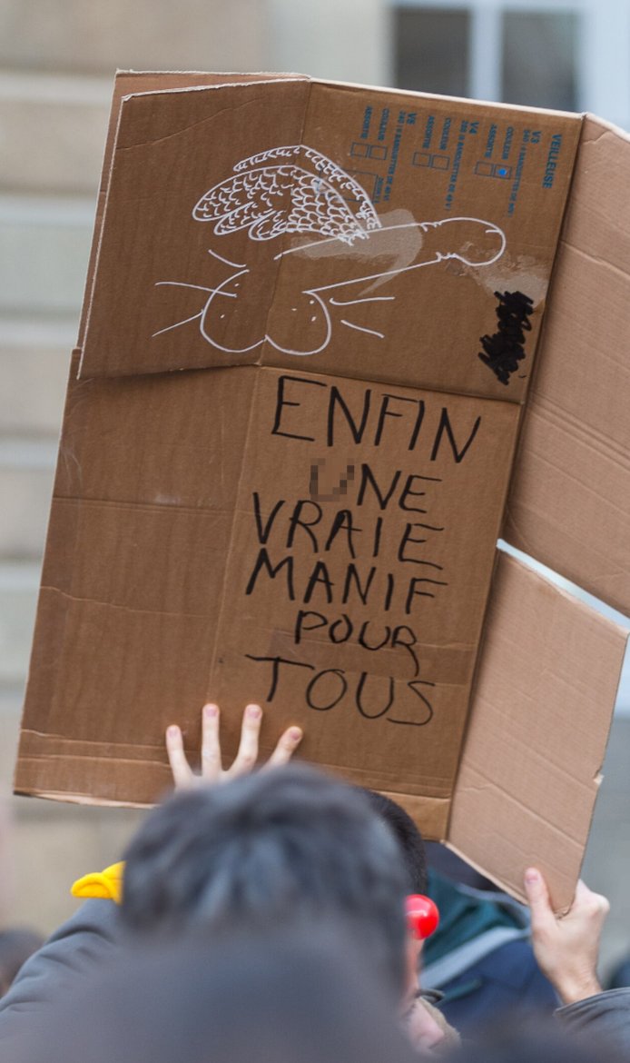 Pancarte « ENFIN UNE VRAIE MANIF POUR TOUS », Rennes (35), 11 janvier 2015
