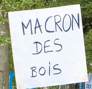 Pancarte « MACRON DES BOIS », Sens (89), 1 mai 2023