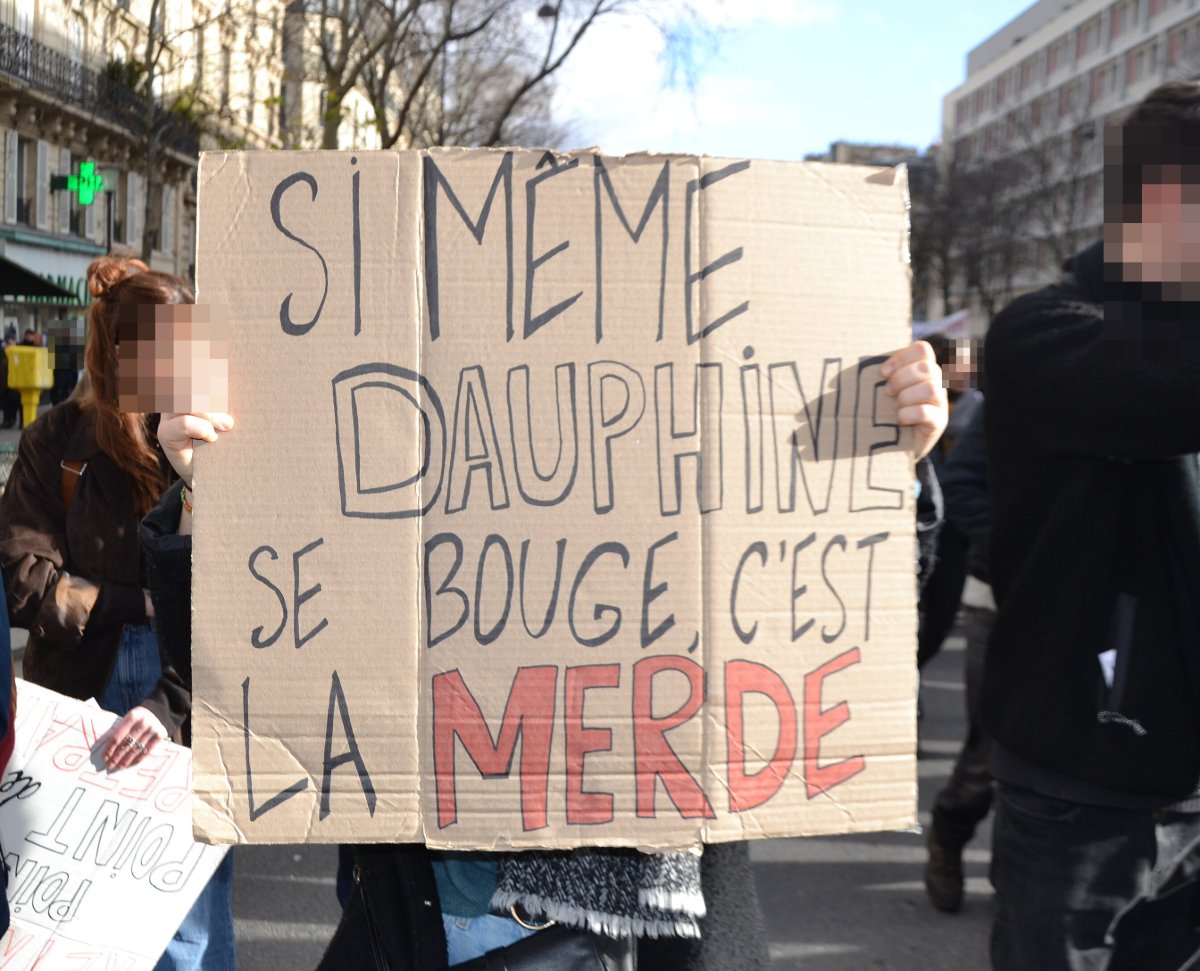 Pancarte « SI MÊME DAUPHINE SE BOUGE, C'EST LA MERDE », Paris (75), 29 janvier 2020