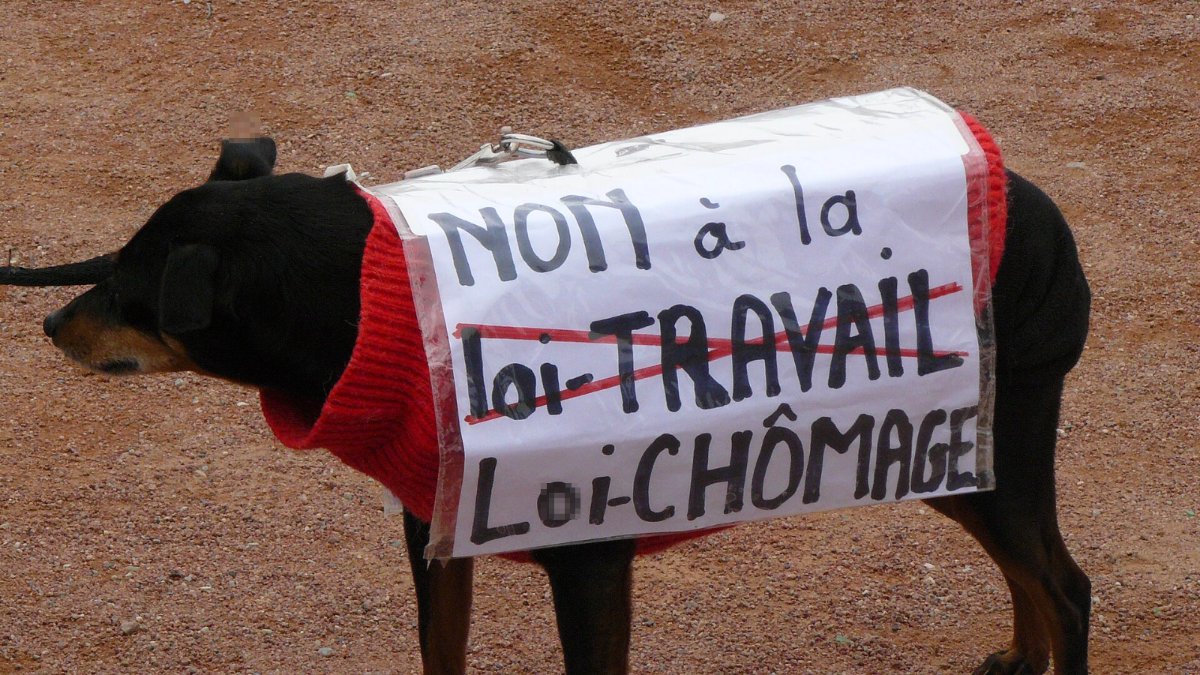 Pancarte « NON à la loi-TRAVAIL Loi-CHÔMAGE », Lyon (69), 9 mars 2016