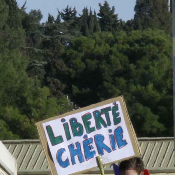 Pancarte « LIBERTÉ CHÉRIE », Montpellier (34), 11 janvier 2015