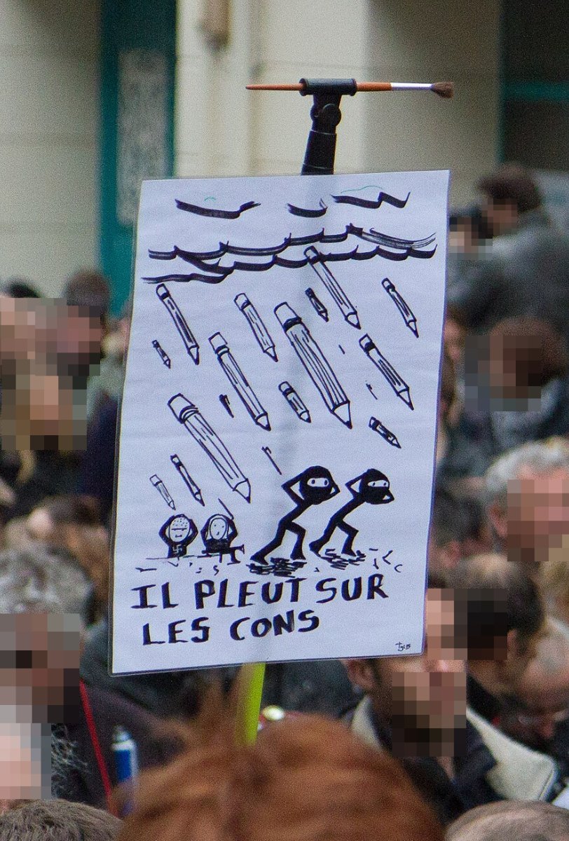 Pancarte « IL PLEUT SUR LES CONS », Brest (29), 11 janvier 2015
