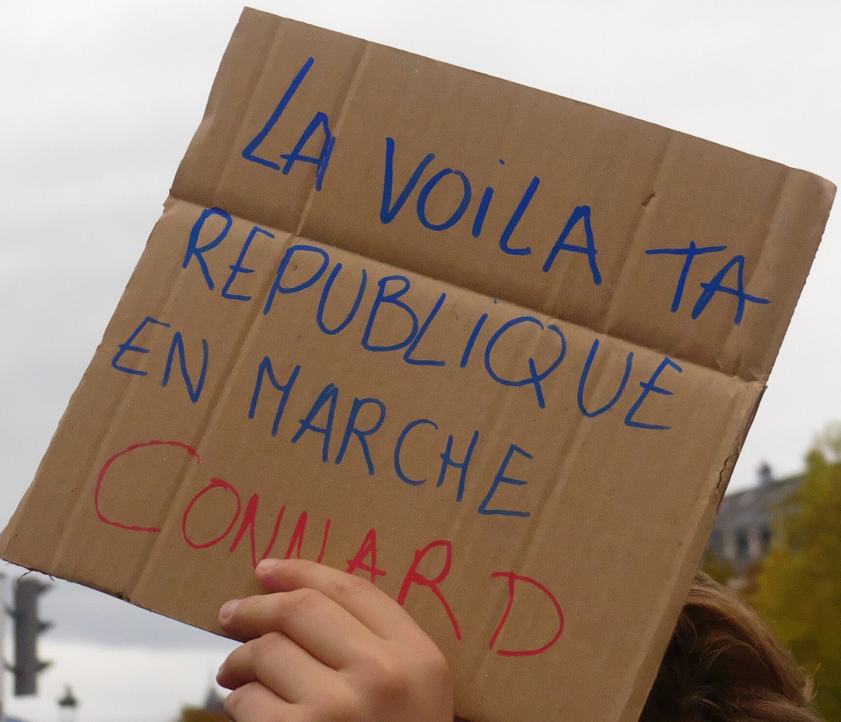Pancarte « LA VOILA TA REPUBLIQUE EN MARCHE CONNARD », Belfort (90), 17 octobre 2026
