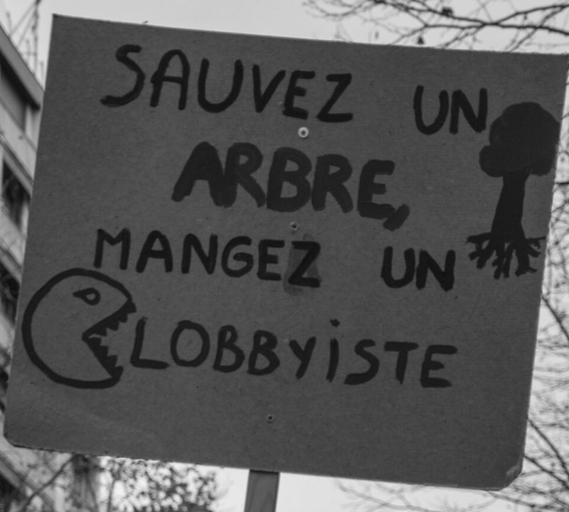 Pancarte « SAUVEZ UN ARBRE, MANGEZ UN LOBBYISTE », Paris (75), 8 décembre 2018